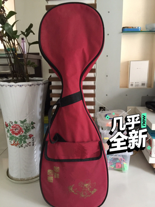 深圳学校社团统一琵琵，原价1000元，转4...