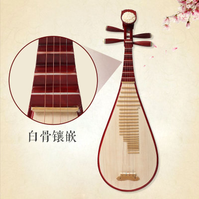语弹  | 老料红木琵琶初学入门自学乐器专...