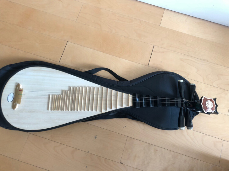 一时兴起买了个琵琶