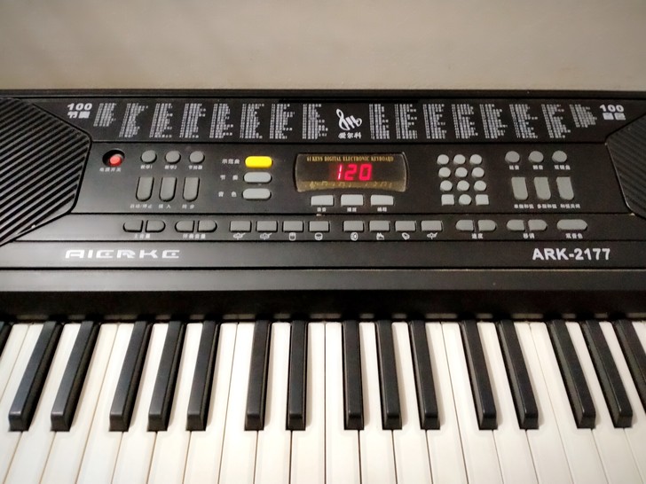 闲置爱尔科电子琴，小孩不学琴了，八九层新，...