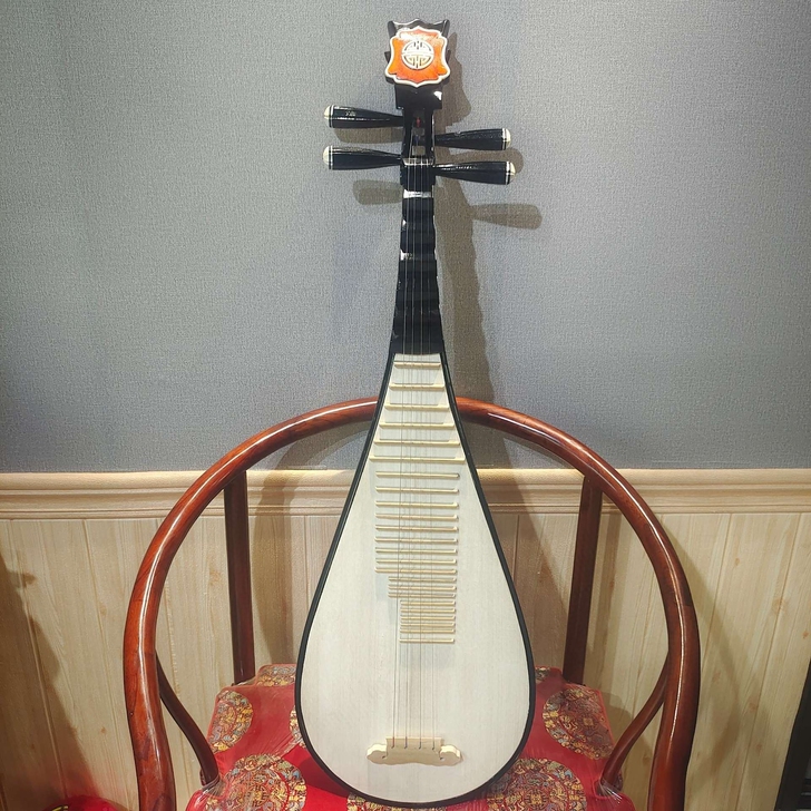 成人琵琶乐器 初学琴 练习琴  直接拍下包...