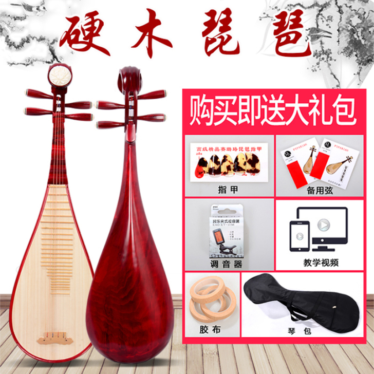 琵琶乐器成人 儿童初学者入门练习琵琶 考级...