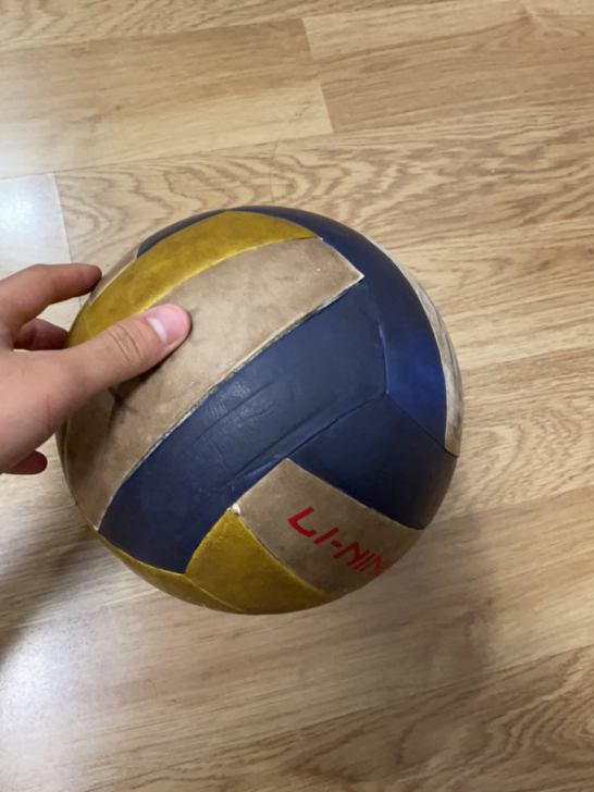 李宁排球，专业中考训练用球