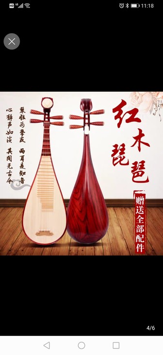 琵琶乐器成人 初学者入门练习琵琶 考级专业...