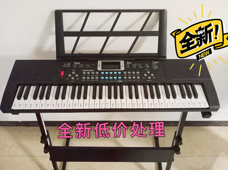 个人闲置 电子琴全新，琴膜还没有去，全新的...