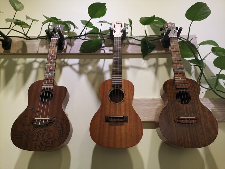 全新23寸尤克里里。琴行店内库存。价格低音...