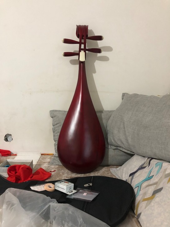 出两把全新儿童初学琵琶琴