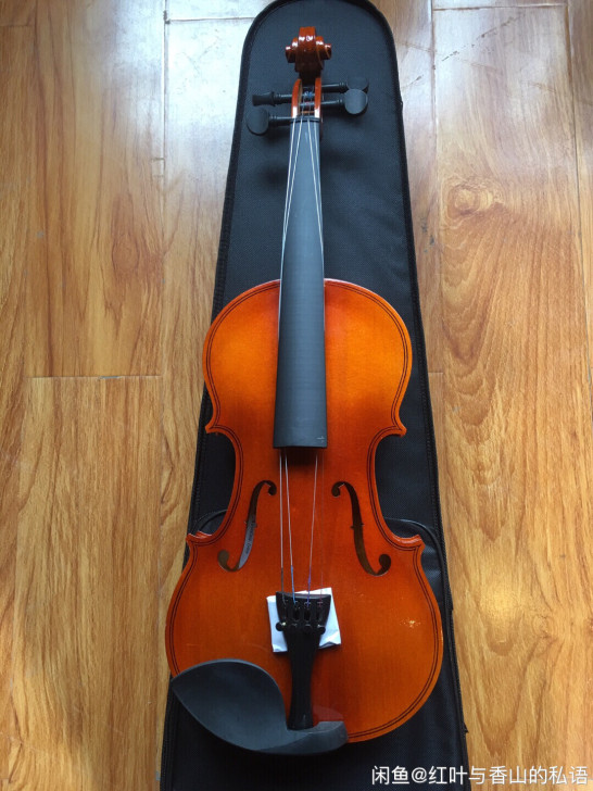 琴行倒闭转型便宜处理全新百灵红棉单板小提琴...