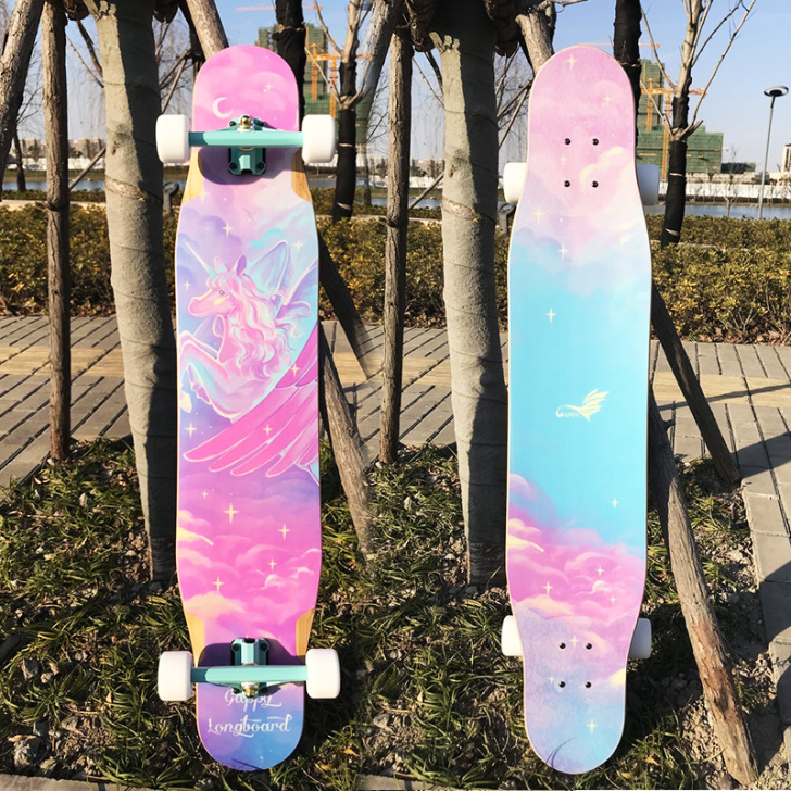 GAPPY 孔雀鱼 独角兽 滑板长板