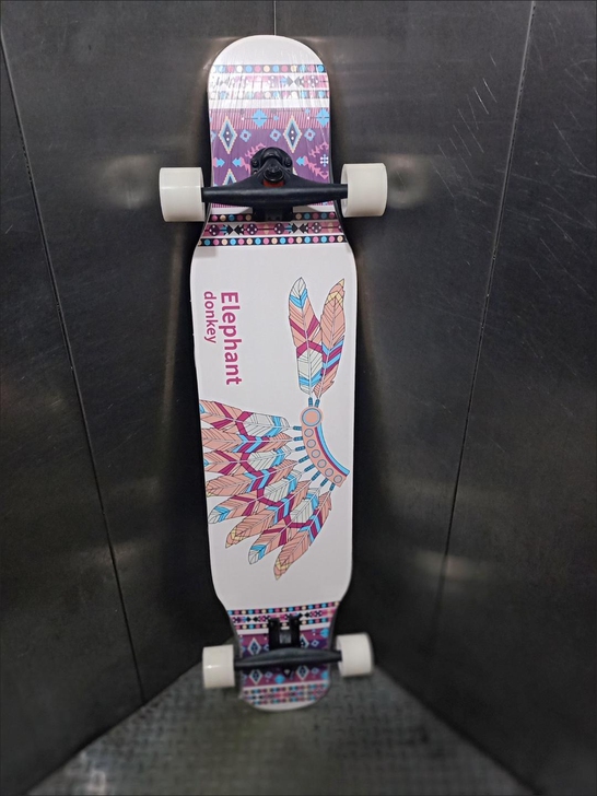 长板滑板初学者成人刷街公路男女生全能舞板青...