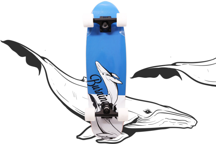 燃烧冰专业枫木小鱼板 刷街代步小鱼板香蕉板...