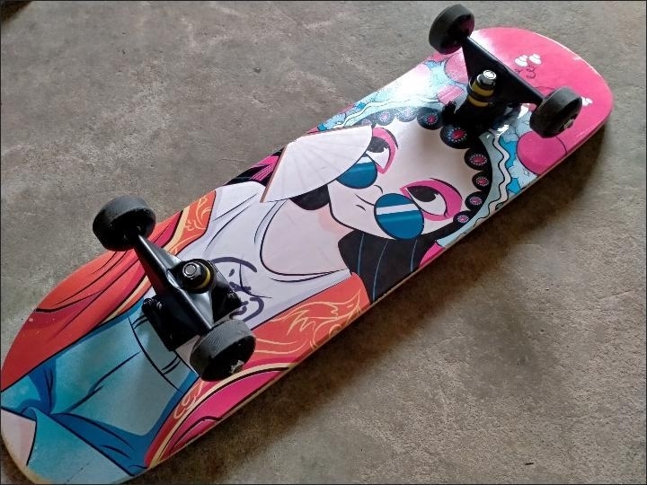 全新专业滑板双翘板四轮刷街板初学者版滑板 ...