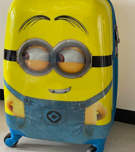 全新手提行李箱化妆小箱子，14寸，卡通可爱...