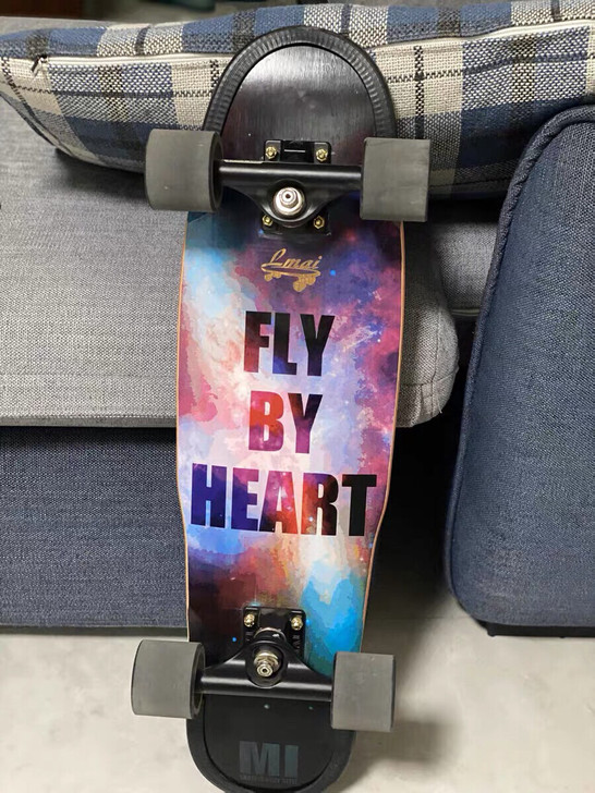 全新乐迈大鱼板滑板小鱼板初学者四轮滑板成人...