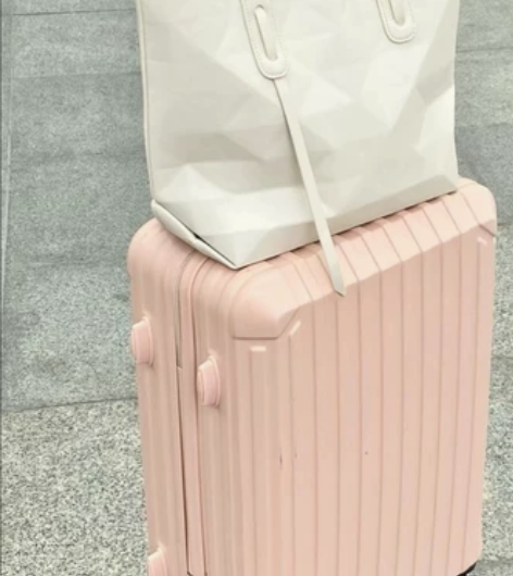 ULDUM行李箱女高颜值耐用拉杆箱男密码箱...