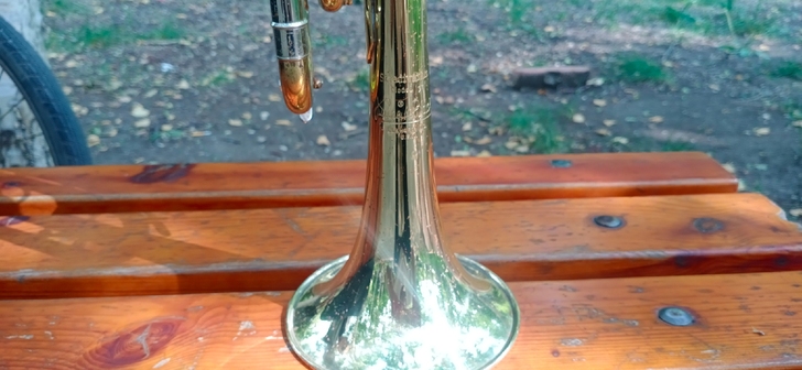 代朋友出一款老巴哈双色小号，有氧化锈班，有...