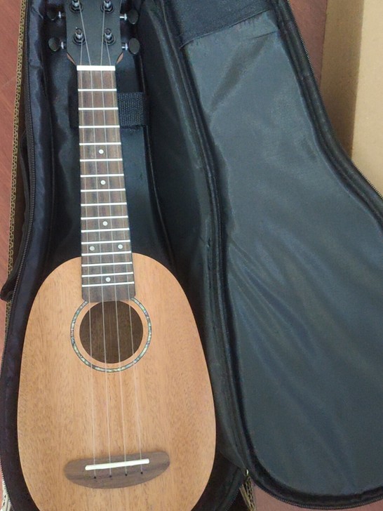 尤里克克 菠萝琴带包