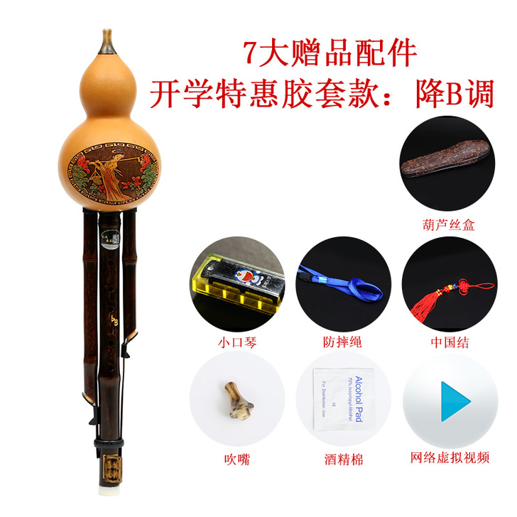 葫芦丝乐器初学者成人小学生自学入门零基础胡...