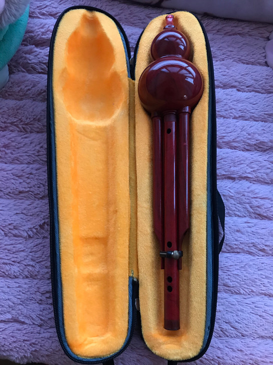 全新葫芦丝，抽奖中的，没人会，便宜出了