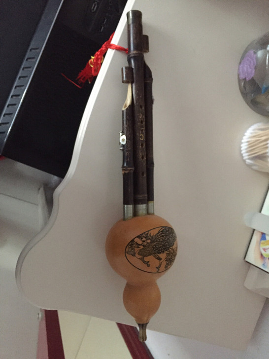 葫芦丝，孩子兴趣班买的，带盒子，用了没几次...