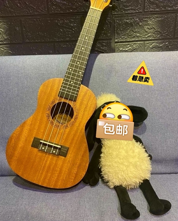 低价出售原价600多,全新出尤克里里23寸...