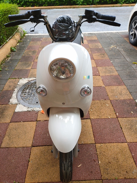 新国标电动车，杰林   全新车子，可上小蓝...