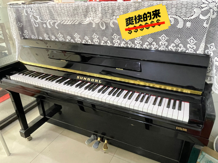 出售自己使用的尚高品牌钢琴，尺寸120，主...
