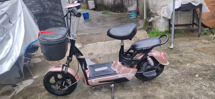 爱玛电动车，48v12A，无问题