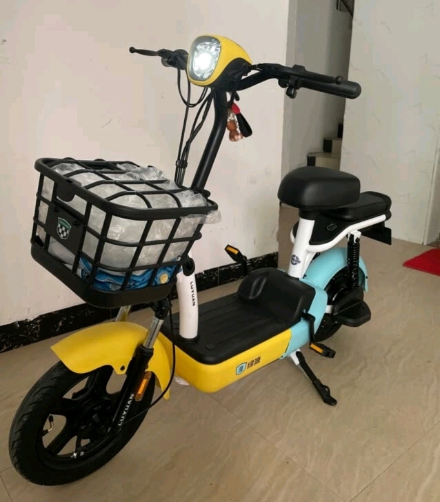 绿源电动车,绿源卡乐03新款,新车全网最低...