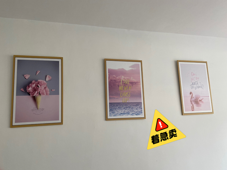 装饰画,40*60公分,装修处理,30一个...