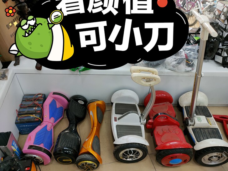 低价出售，领奥旗舰店电动自动平衡车腿控成年...