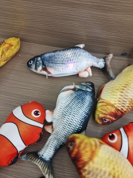 谁要摆摆鱼 都是新的 买来宝宝害怕不敢玩 ...