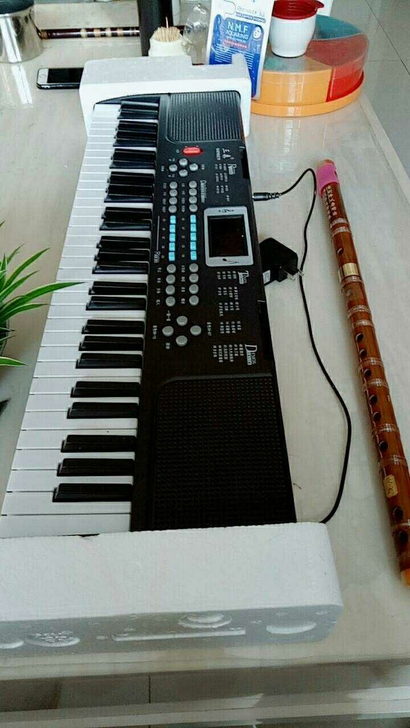 保证全新未拆封多功能电子琴初学者练习用电子...