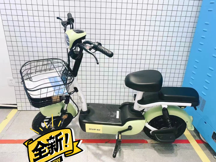 哈啰电动车(闻堰旗舰店)