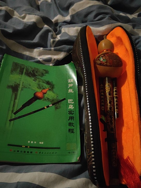 99新葫芦丝  听月光下的凤尾竹  头脑一...