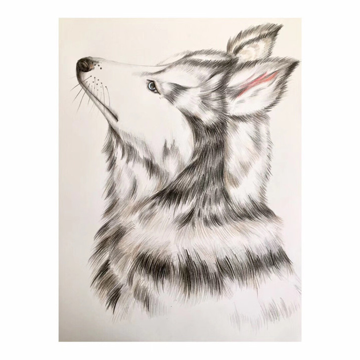 本人纯手工彩铅作品，一笔一笔绘制