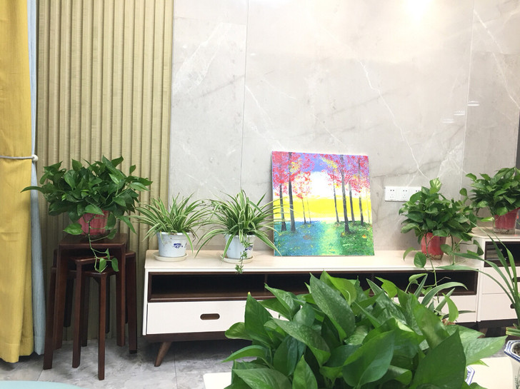 纯手绘丙烯画，选用优质亚麻画框，尺寸60*...