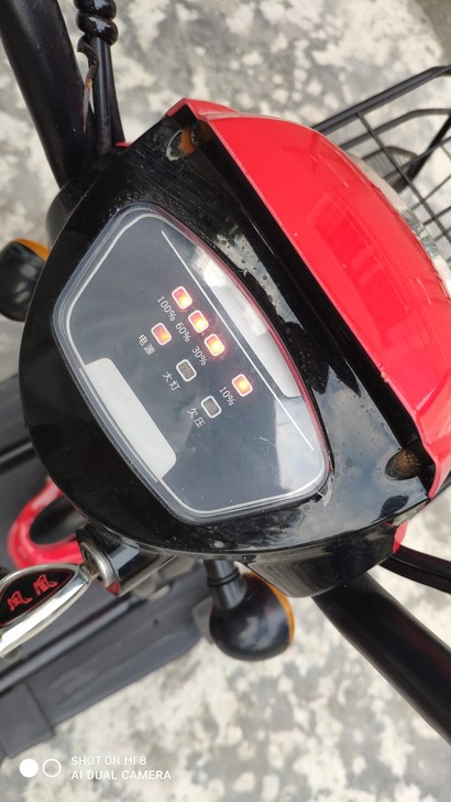 上海凤凰电动车，老品牌大厂家，劲霸电池，充...
