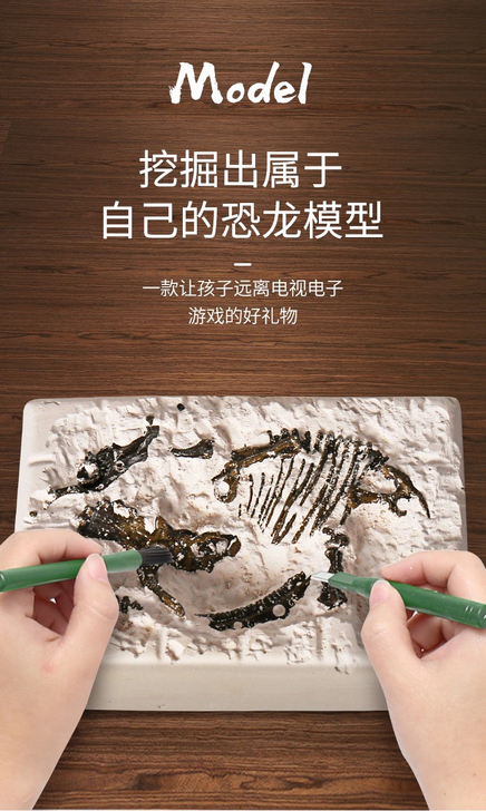 儿童恐龙化石霸王龙骨架 手工diy制作拼装...