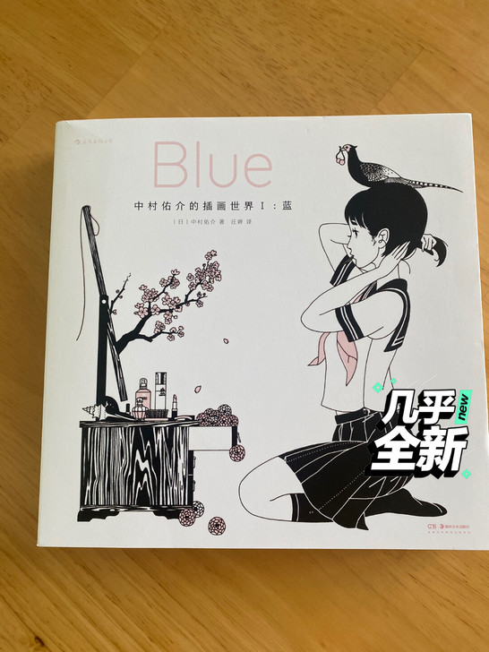 中村佑介的插画世界 蓝 非常新