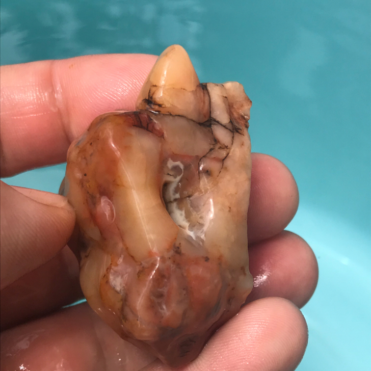 马牙石 肉色马牙石 戈壁石 彩石 奇石 盆...