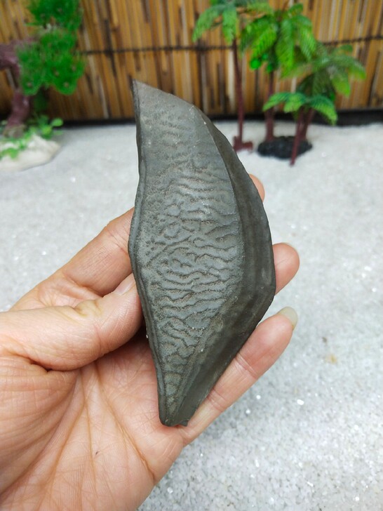 新疆纹路黑泥石,天然原石,年终大促