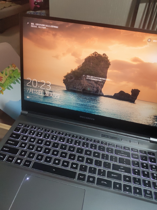 机械革命蛟龙Z3 r5 4600h 206...