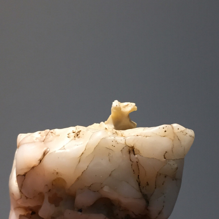 戈壁石 雄风 奇石 玉化风凌石 象形石