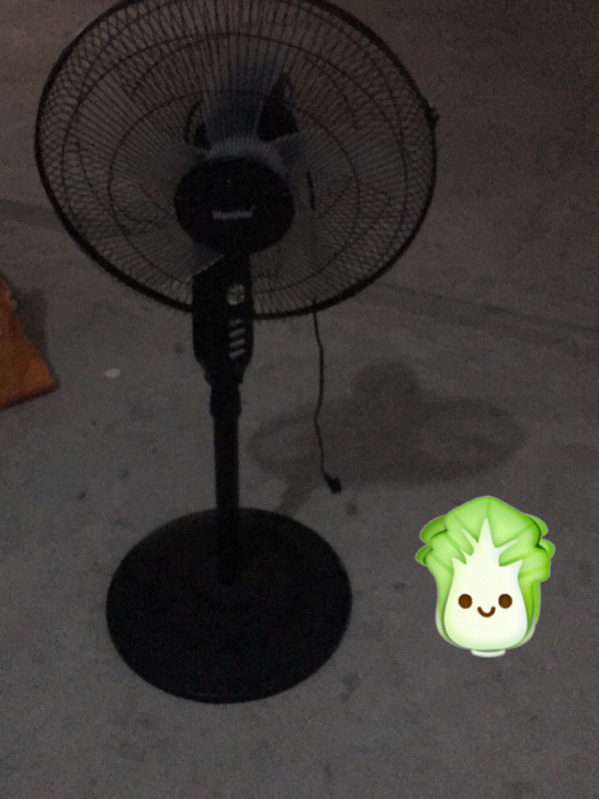 电风扇闲置，搬家甩卖来家自提