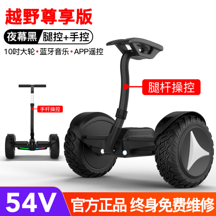 领奥电动平衡车儿童8一12学生小型双轮智能...