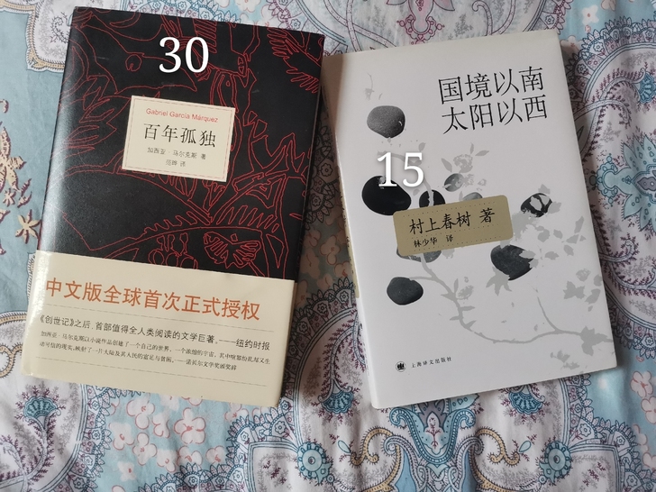 《百年孤独》《国境以南太阳以西》《恶意》