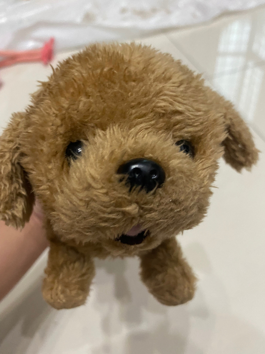 日本iwaya电动狗宠物玩具仿真狗会叫会走...