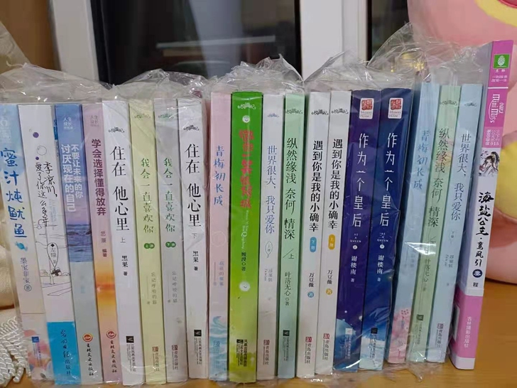 军旅小说青春言情励志甜宠霸道总裁古风校园虐...