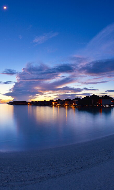 魅族17，8+256，梦幻独角兽，两个月没...